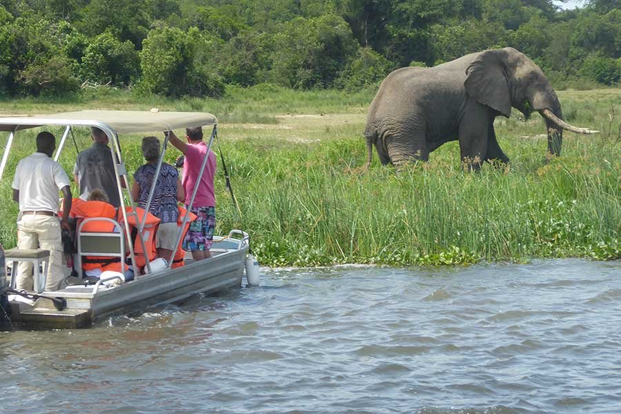 privateboattripelephantMurchisonFalls